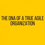The DNA of a true agile organization