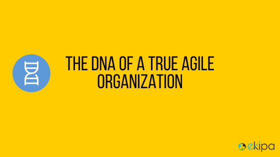 The DNA of a true agile organization